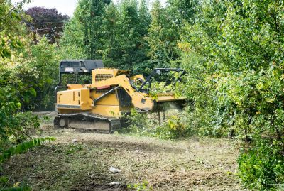 Ground Clearing in Houston, TX