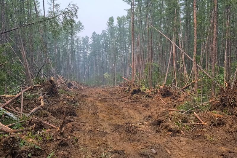 Hill Clearing in Houston, TX