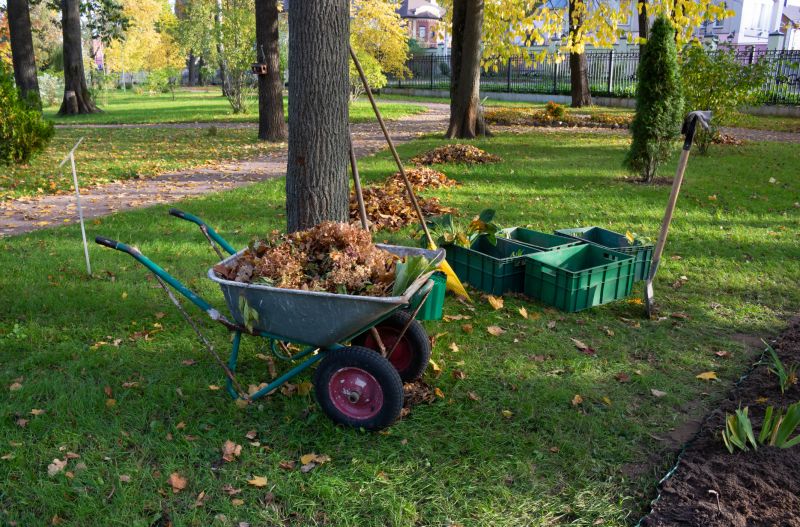 Undergrowth Removal in Salt Lake City, UT